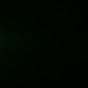 Meet your Posher, Karina